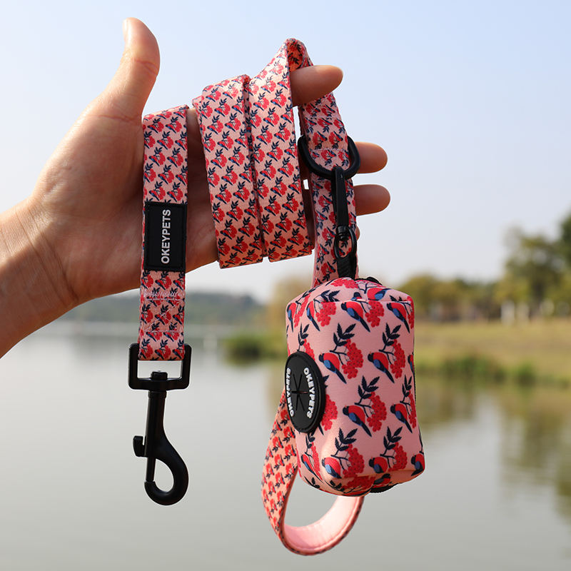 Oem & Odm Fashional Durable Sublimation Dog Leash With Neoprene Padded Handle Poop Bag Holder