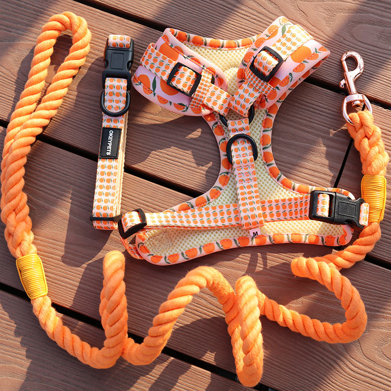 Oem & Odm Fashional Durable Sublimation Dog Leash With Neoprene Padded Handle Poop Bag Holder