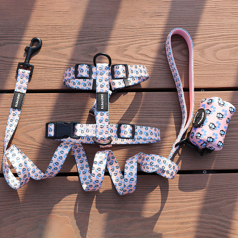 Oem & Odm Fashional Durable Sublimation Dog Leash With Neoprene Padded Handle Poop Bag Holder