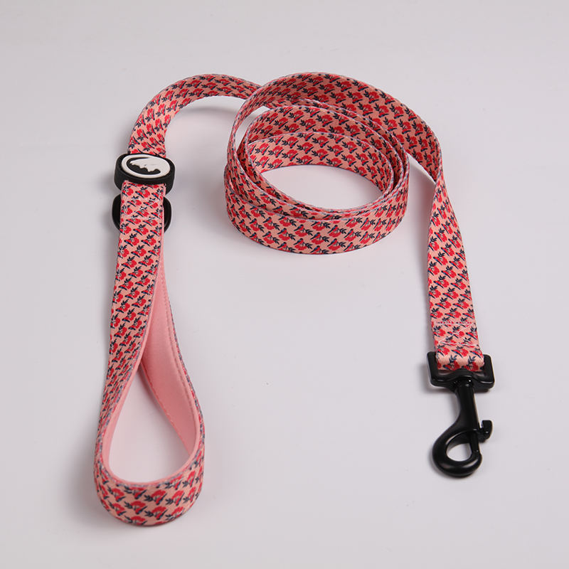 Oem & Odm Fashional Durable Sublimation Dog Leash With Neoprene Padded Handle Poop Bag Holder