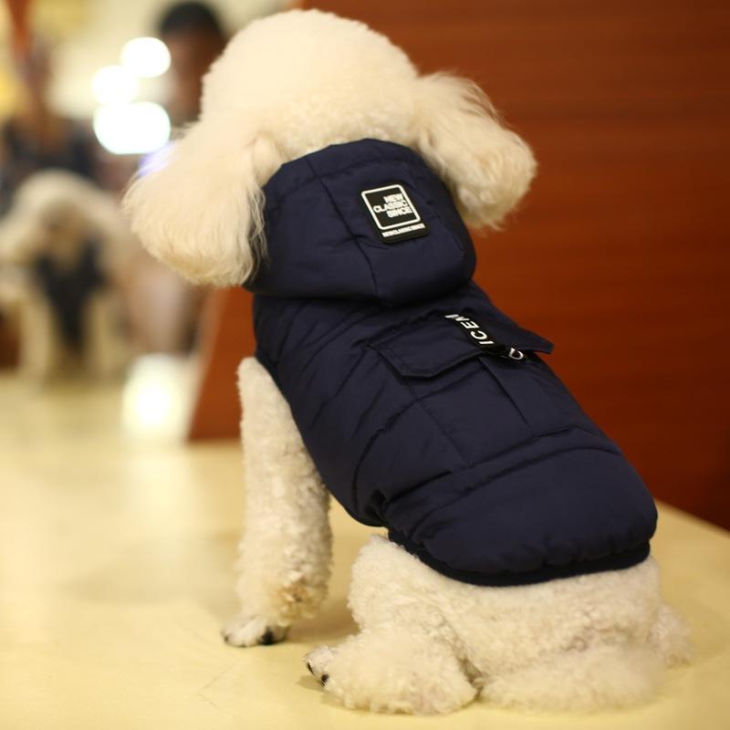 Popular Fashion Autumn Winter New Dog Clothes Two-legged Down Jacket Waterproof Pet Cotton Vest