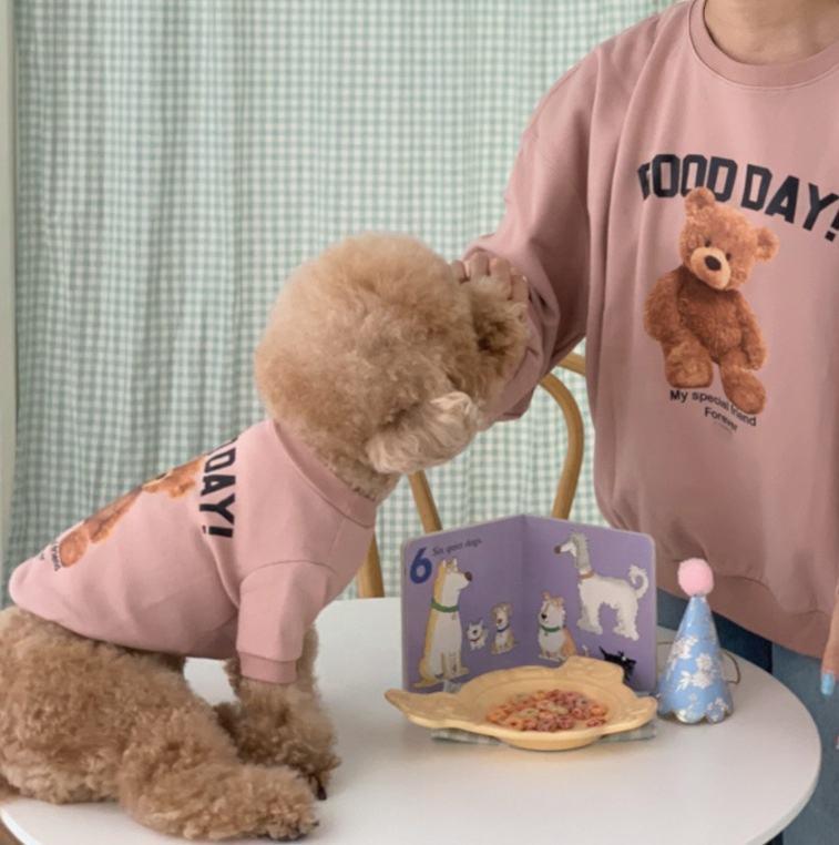 New Design Hot Selling Pet Dog Cat Teddy Bear Cute Clothes Pet Parent-child Suit Supplies Autumn And Winter Warm Clothing