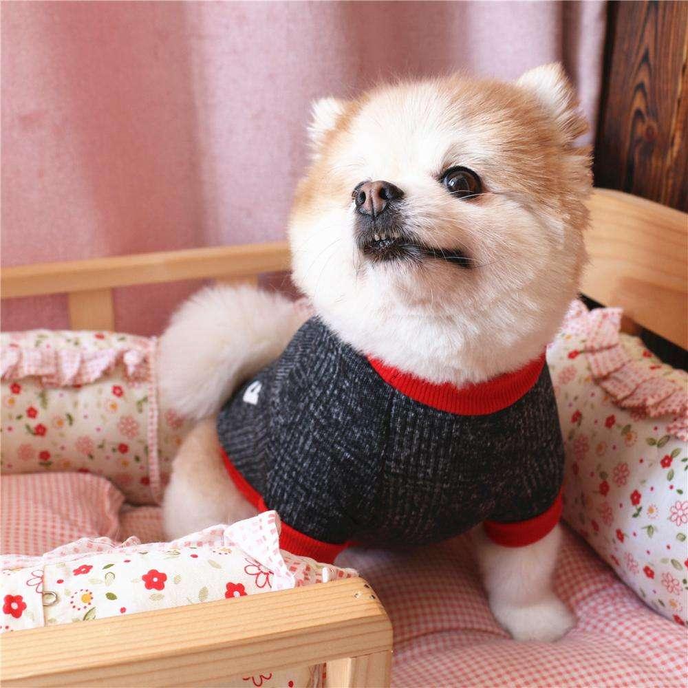 New Style Top Quality Lovely Pet Clothing T-shirt Warm Small Dog Clothes For Autumn Winter