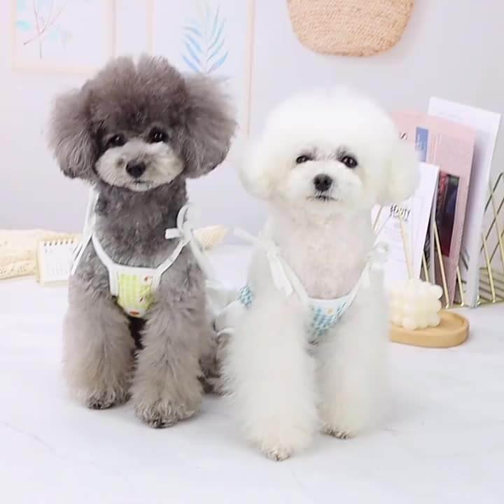 Wholesale Cute Daisy Pet Clothes Designers Dog Summer Dresses