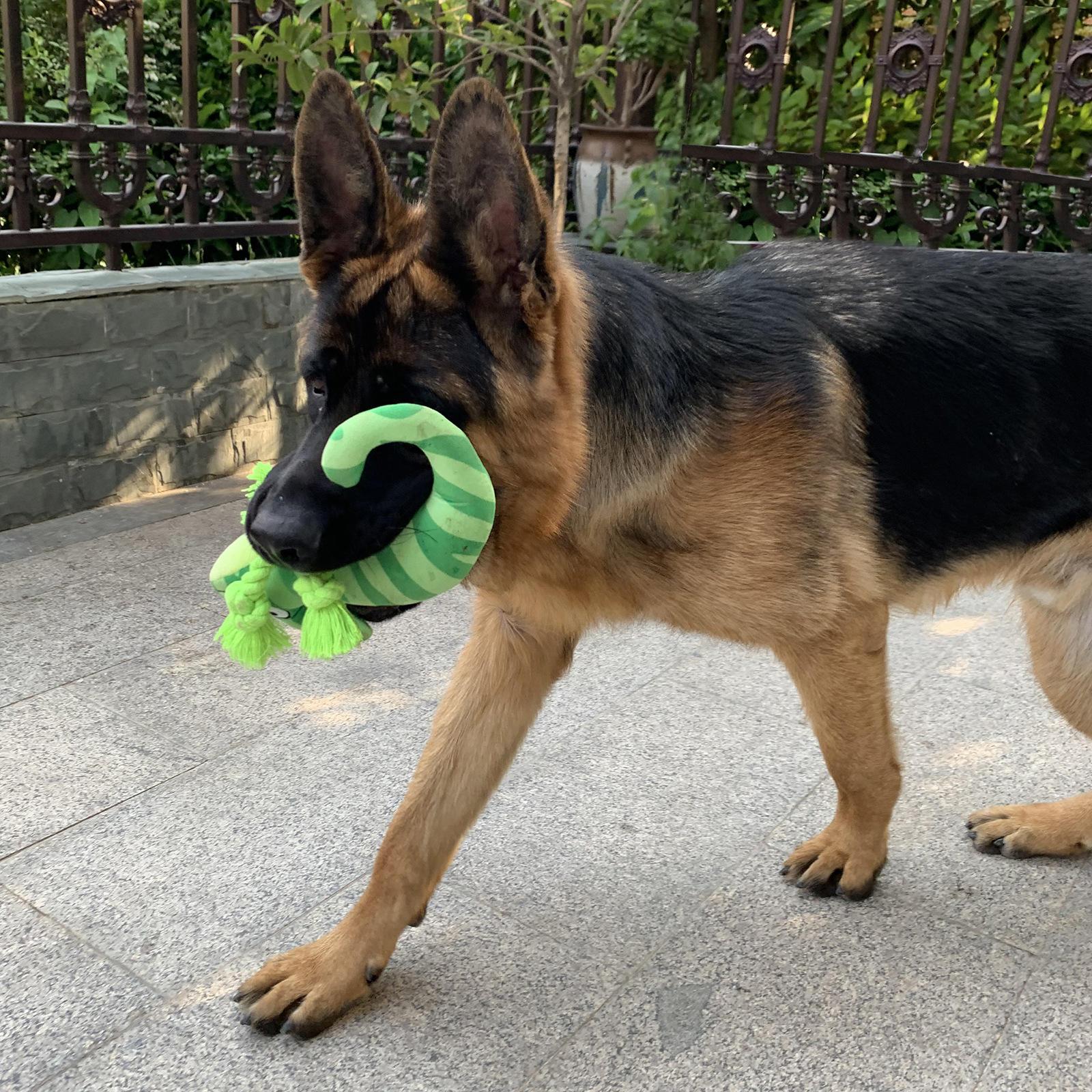 Double Layered Lizard Soft Durable Modern Squeaky Plush Dog Rope Chew Toy