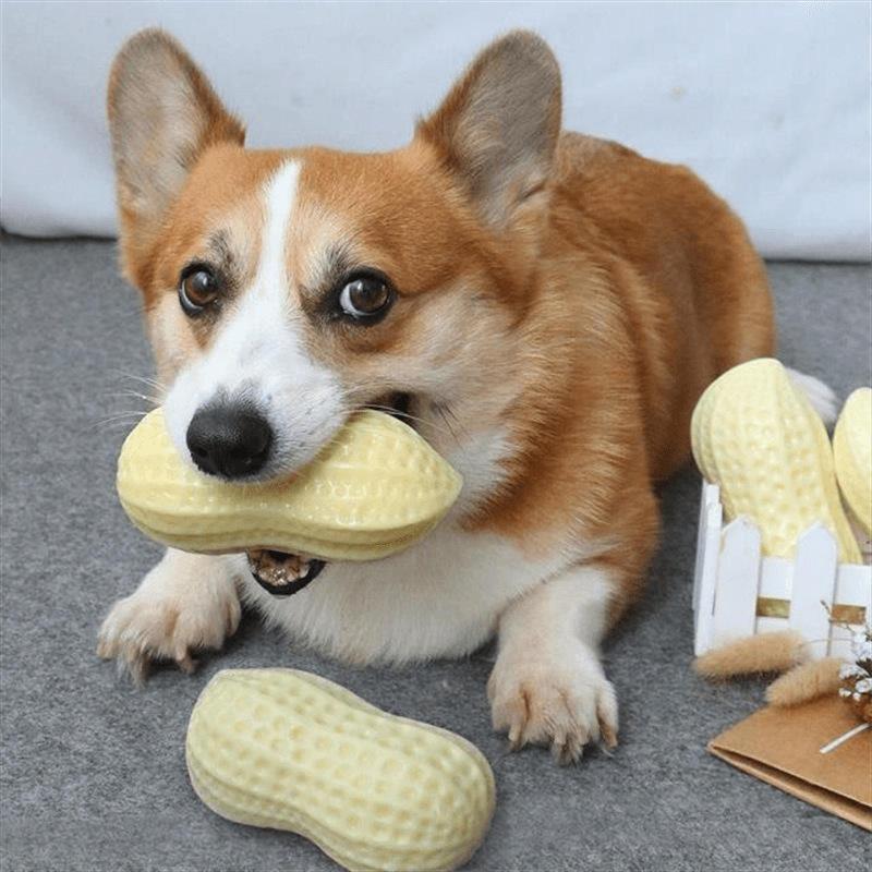 2023 Peanut Molar High Quality Tprcustom Wholesale Dog Squeaky Toys