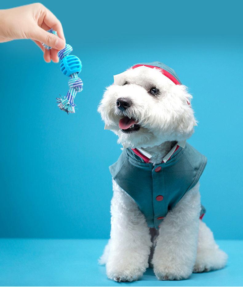 Bite Resistant Teeth Cleaning Interactive Tpr Custom Dog Toys Wholesale Rope Toys For Dogs