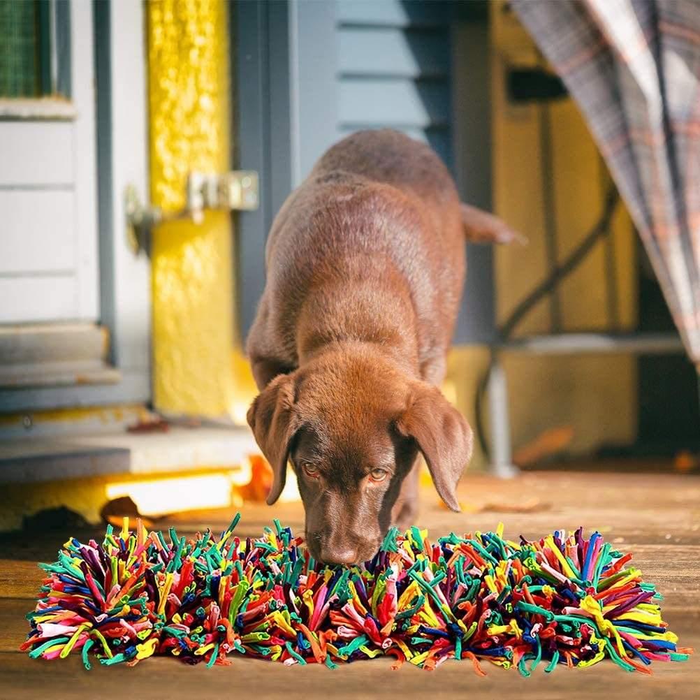 Training Food Snuffle Mat For Small Large Dogs Nosework Pet Feeding Mat For Slow Eating