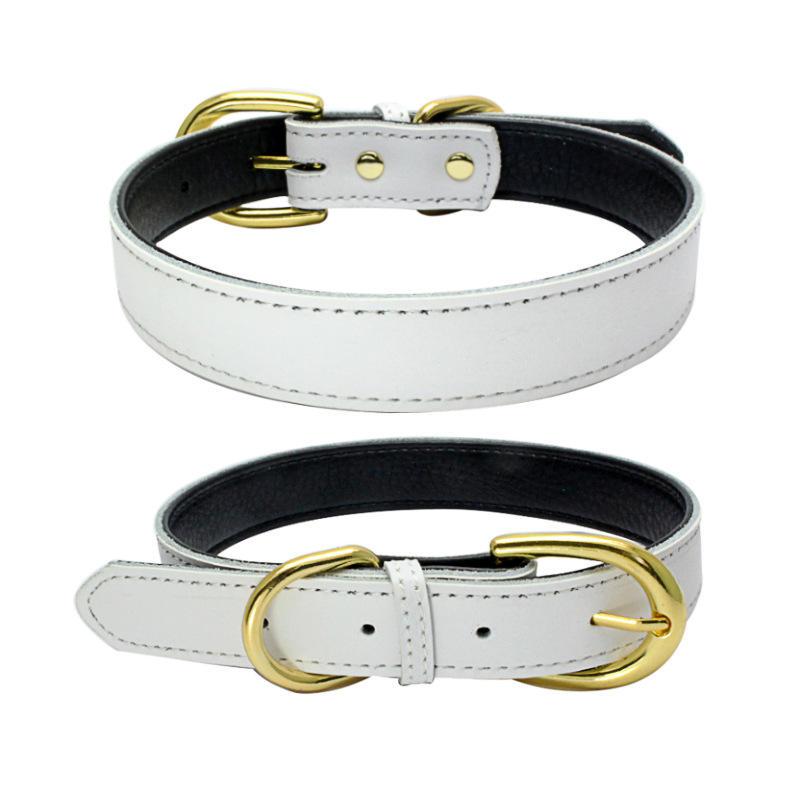 Wholesale Multicolor Simply Designer Luxury Leather Dog Collar