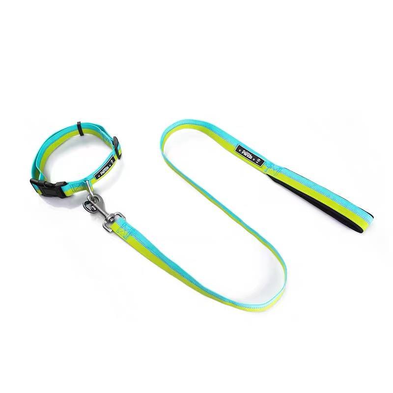 Wholesale In Stock Pet Nylon Dog Collar With Chain For Medium/large Dogs