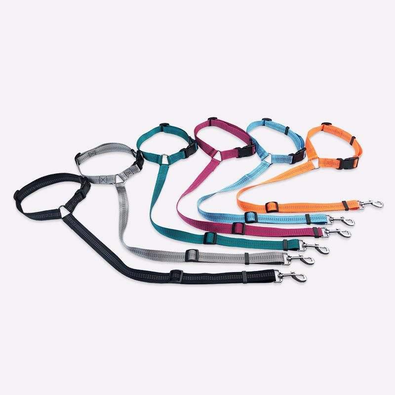 Wholesale Running Dog Leash Adjustable Nylon Dog Collar Leash Set For Puppy