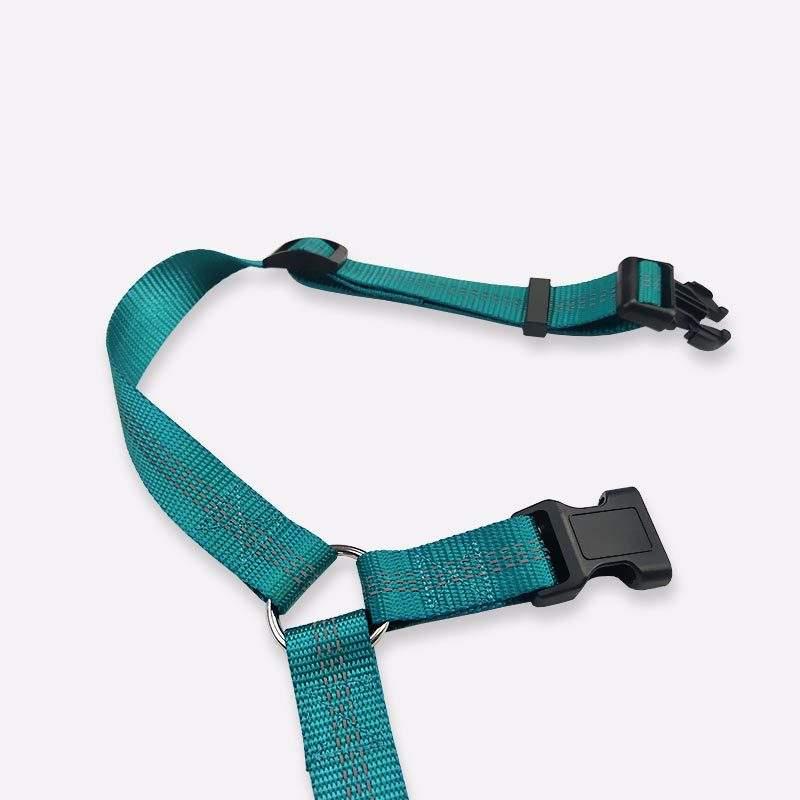 Wholesale Running Dog Leash Adjustable Nylon Dog Collar Leash Set For Puppy