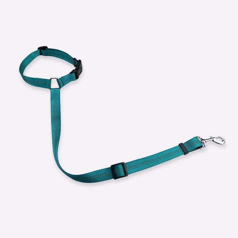 Wholesale Running Dog Leash Adjustable Nylon Dog Collar Leash Set For Puppy