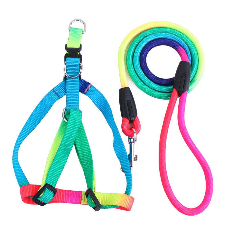 Colorful Harness And Leash Set Escape Resistant Leash Pet Dog Harness Set