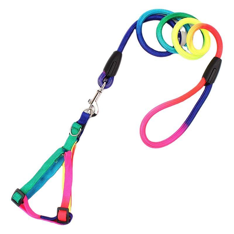 Colorful Harness And Leash Set Escape Resistant Leash Pet Dog Harness Set