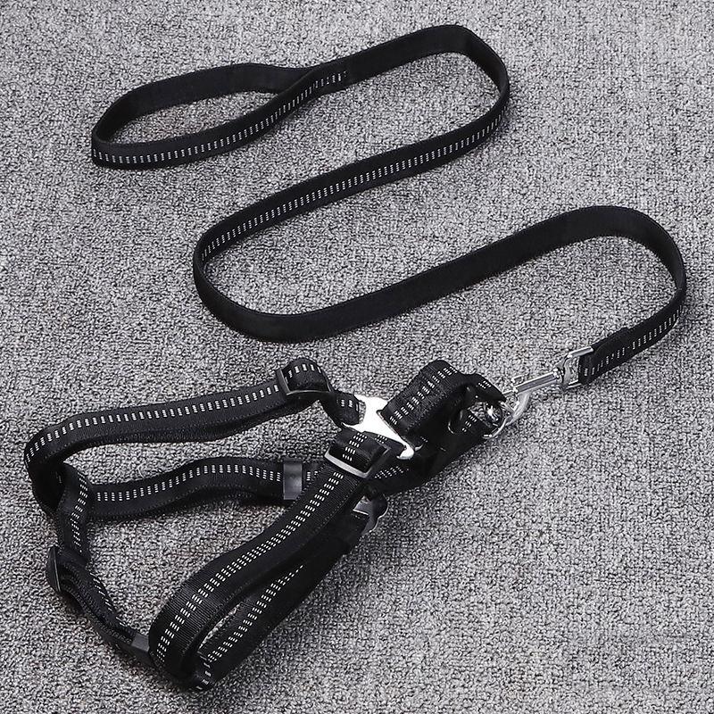 In Stock Nylon Pet Leash Back Card Package Wholesale Dog Harness Pet Supplier Pet Leash And Harness Set