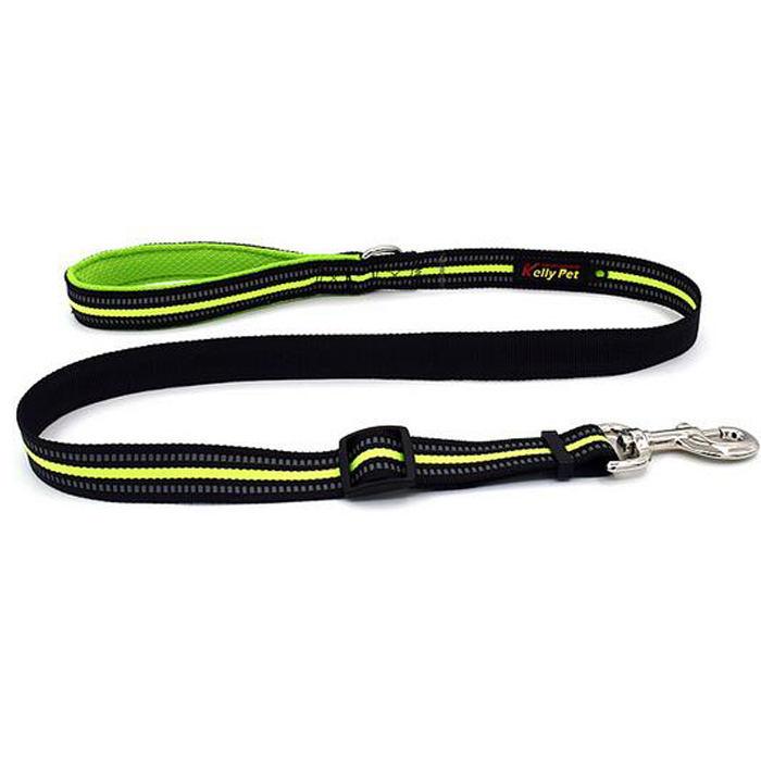 Custom Multi Color Reflective Soft Nylon Dog Lead