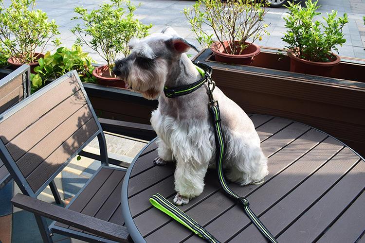 Custom Multi Color Reflective Soft Nylon Dog Lead