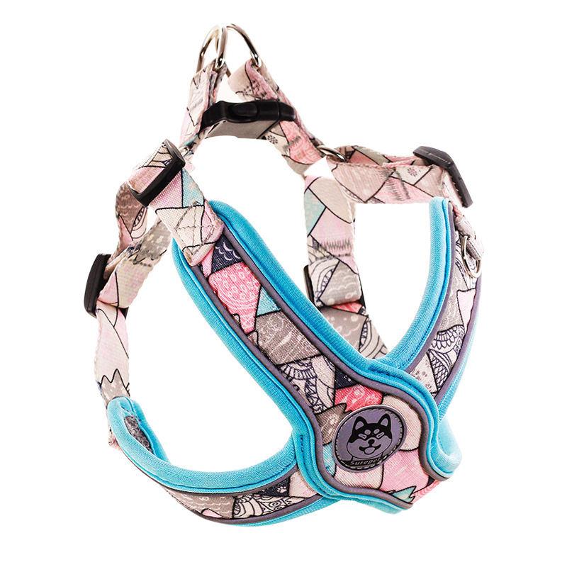 2022 New Style Custom Designer Reflective Dog Harness And Leash Dog Harness Set