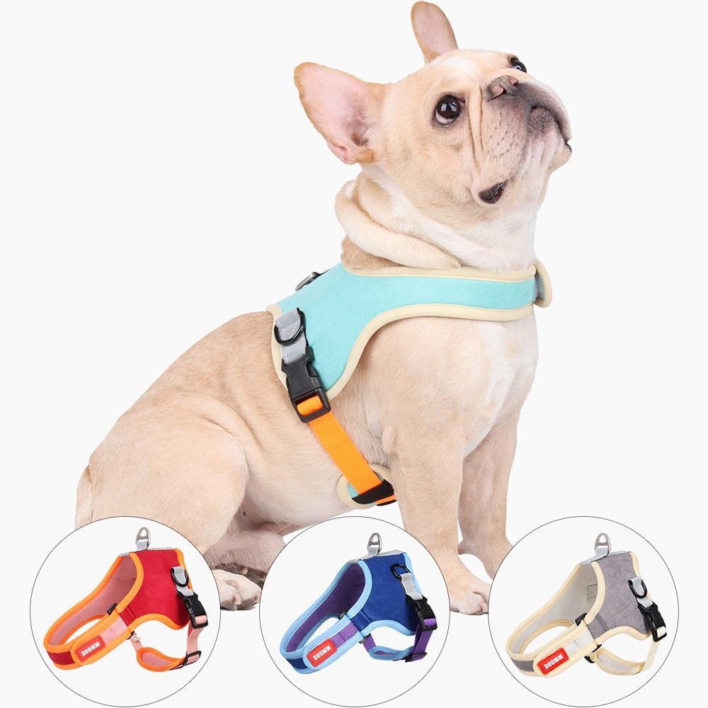 Popular Luxury Designer Dog Harness For Online Shopping With Cheap Price Made In China