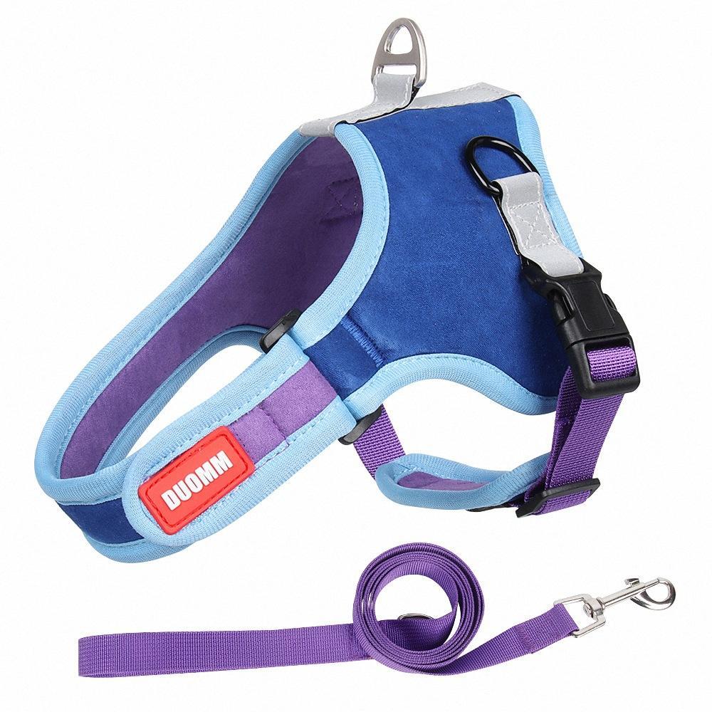 Popular Luxury Designer Dog Harness For Online Shopping With Cheap Price Made In China