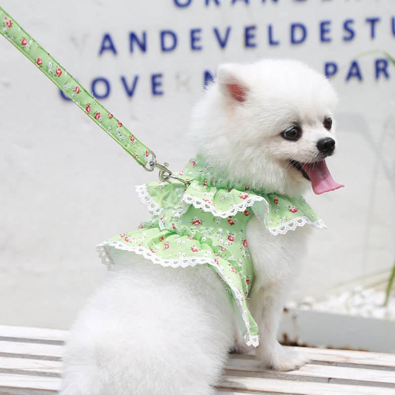 Pet Clothes Chest Strap Traction Small Floral Lace Lace Dog Leash Wholesale Dog Accessories Harness And Leash