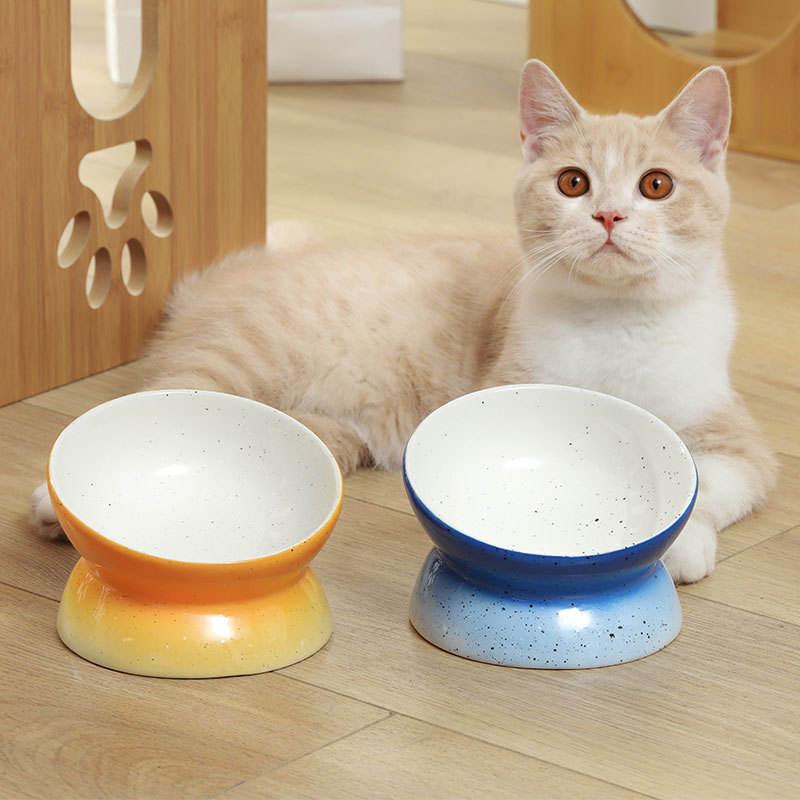 Pet Gradient High Feet 15 Degree Cat Bowl Ceramic Anti Spill Wholesale Dogs Food Bowl