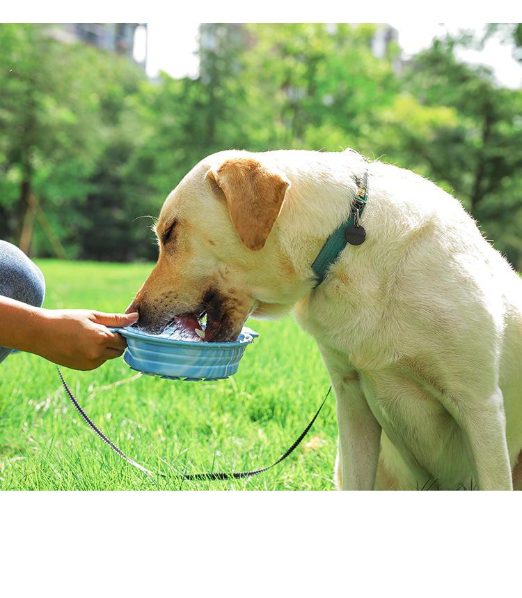 Wholesale Low Price Silicone Dog Bowl Foldable Slow Feeder Pet Dog Bowl