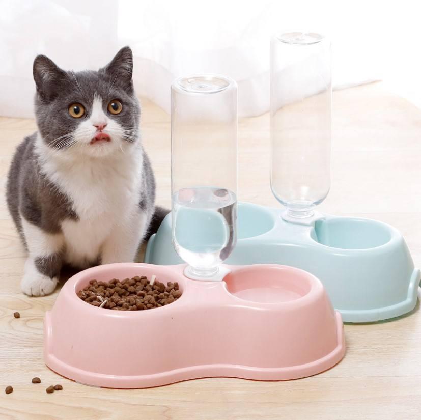 Wholesale Macaron Color Pp Plastic With Water Bottle Double Cat Dog Bowl