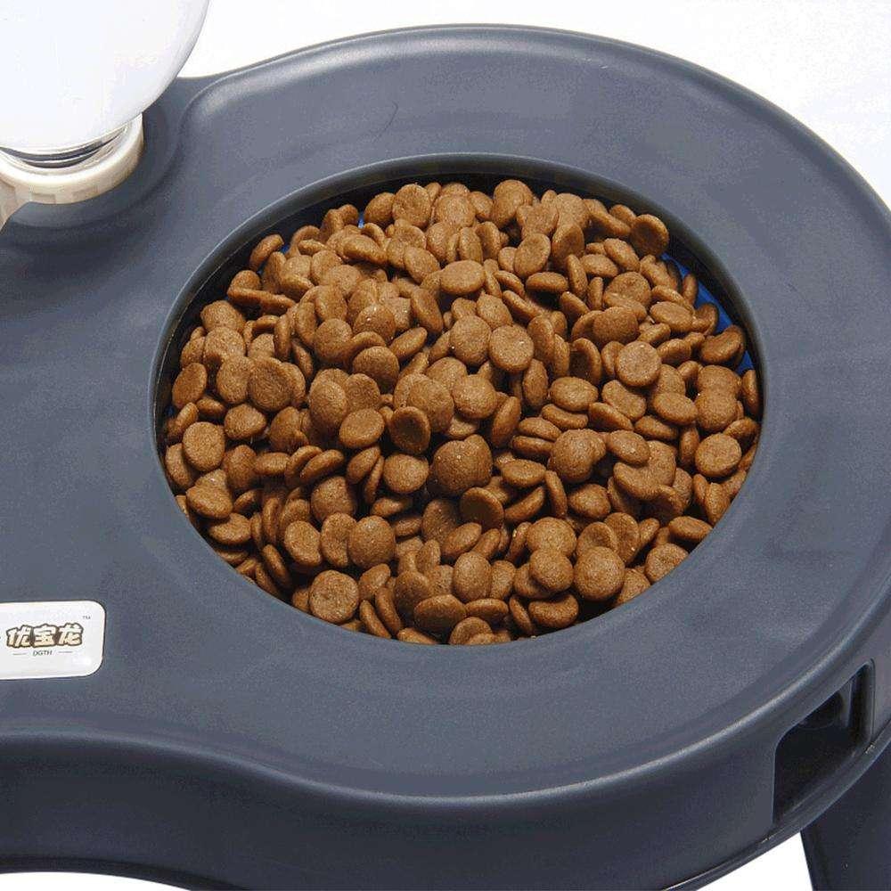 Pet Accessories Easy Clean Pet Feeder Dog And Cat Raised Pet Bowls With 2 Bowls