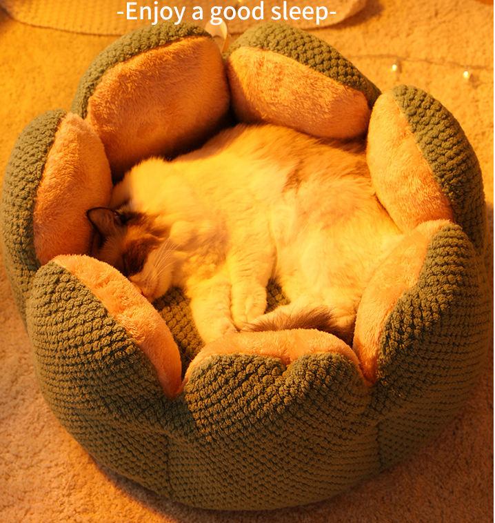 Antistatic Cactus Petals Soft Comfortable Warm Fancy Dog Beds Pet Cute Beds Best Beds For Pets