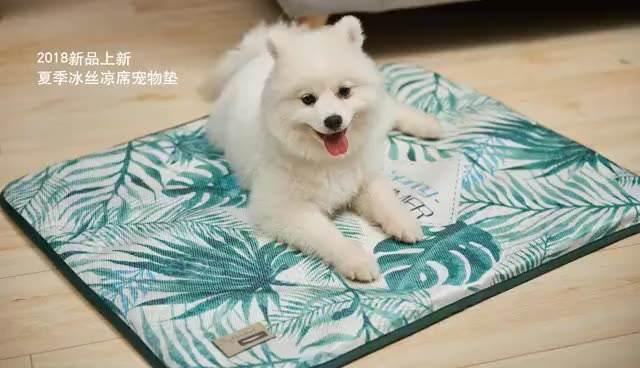 New Arrival Wholesale Soft Warm Sponge Cool Pet Mat