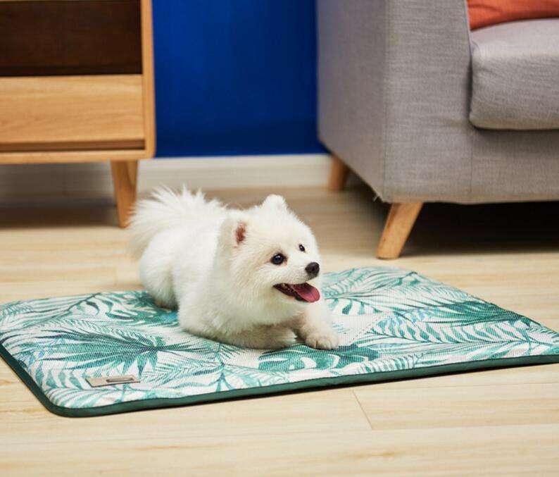 New Arrival Wholesale Soft Warm Sponge Cool Pet Mat