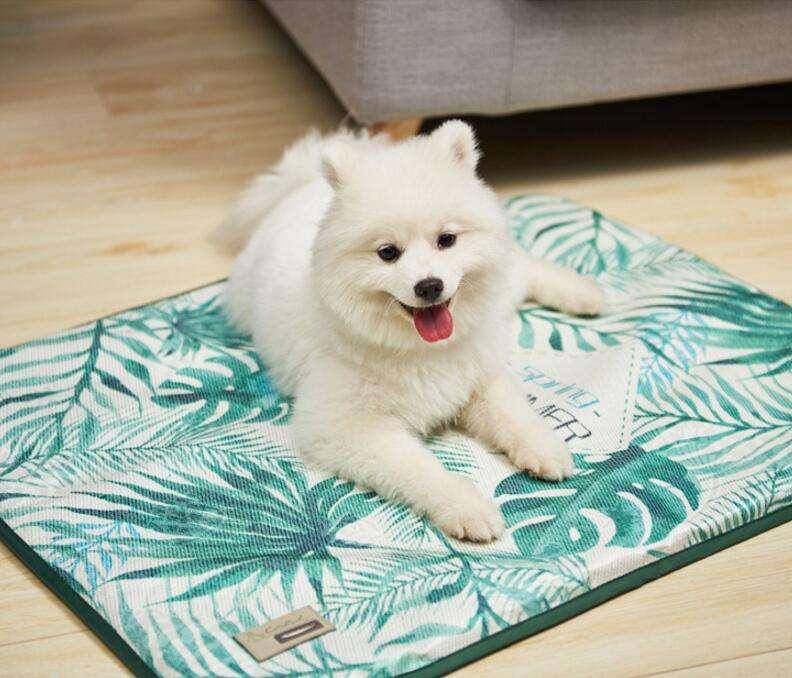 New Arrival Wholesale Soft Warm Sponge Cool Pet Mat