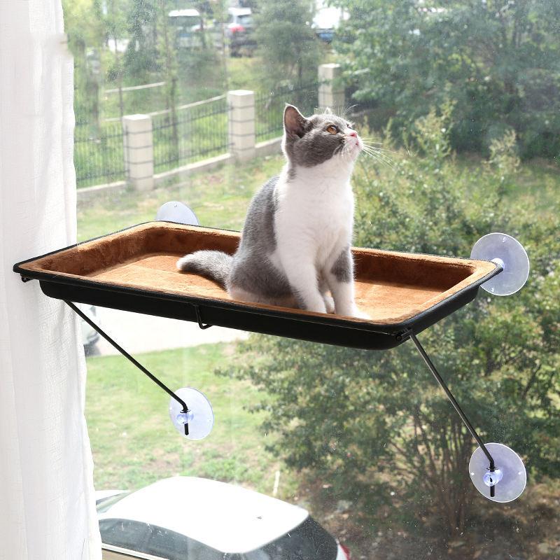 Wholesale Sucker Type Eva Cat Swing Hammock Wall Cat Window Hammock Bed