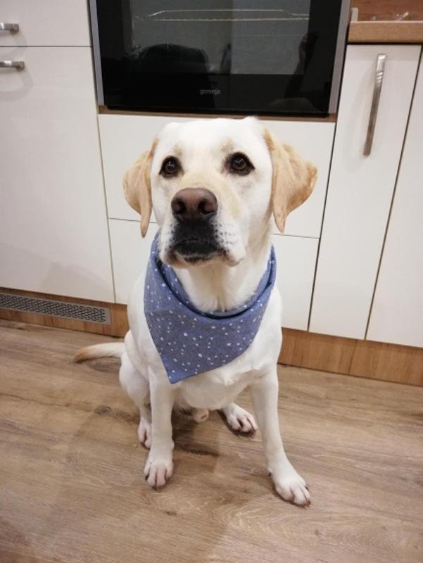 Hot Selling Double Layer Two-sided Print Pattern Dog Bandana