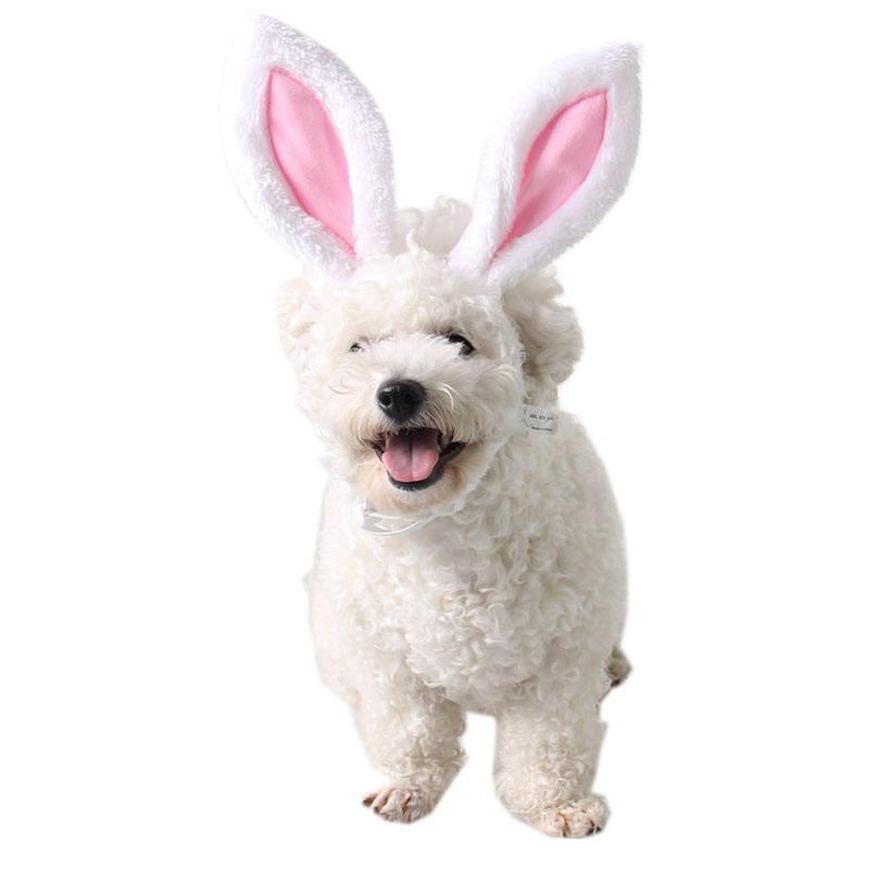 Wholesale Pet Flowers Cute Plush Headdress Dog Birthday Party Accessories