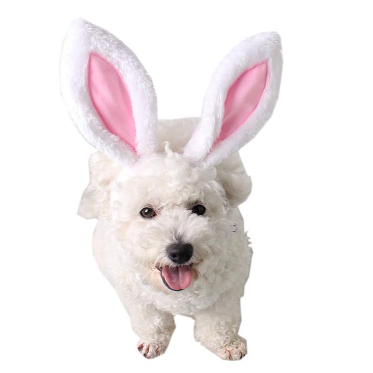 Wholesale Pet Flowers Cute Plush Headdress Dog Birthday Party Accessories