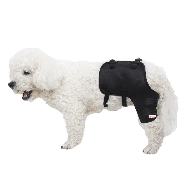 Wholesale Protective Adjustable Neoprene Dog Leg Knee Brace