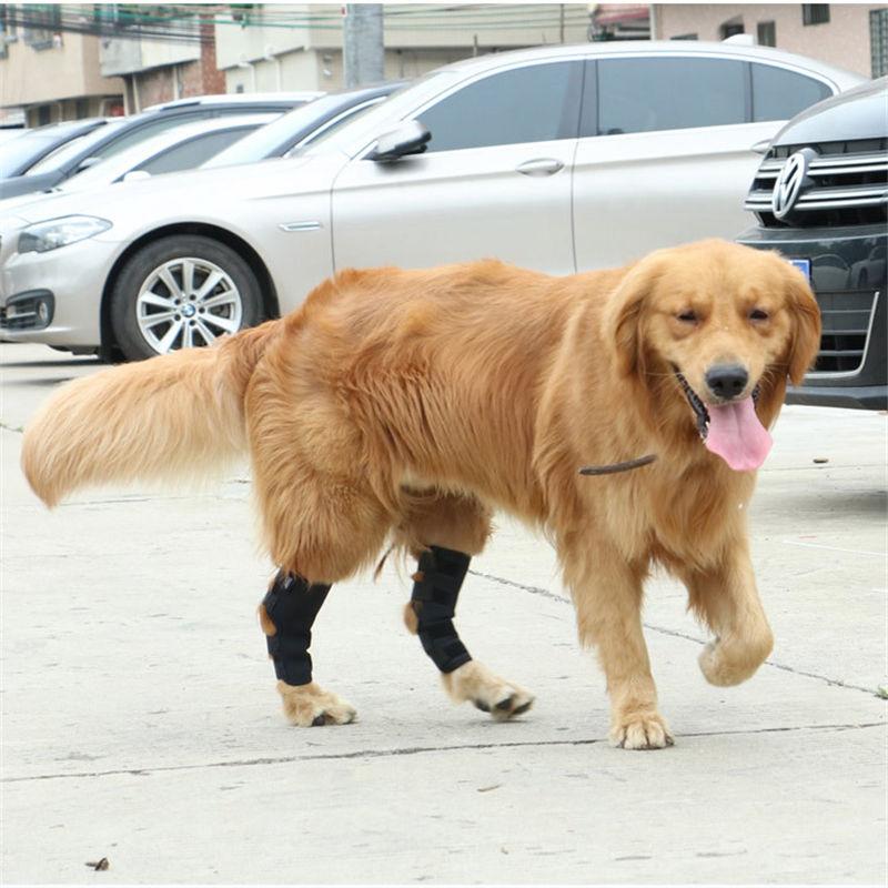 High Quality New Style Hock Joint Wrap Neoprene Leg Protector Dog Leg Brace