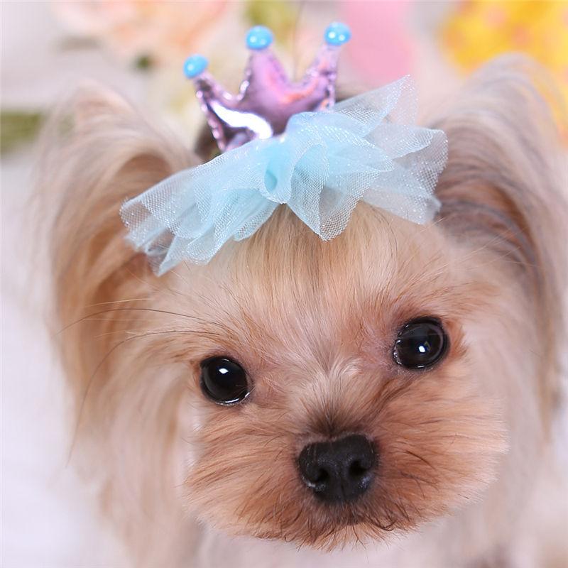 Decorative Hair Clips Small Dog Grooming Girl Hairpins Cute Bow Crown Pet Hairclip