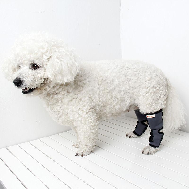 Canine Rear Supportive Hock Joint Wraps Protects Hind Leg Support Leg Brace For Dogs