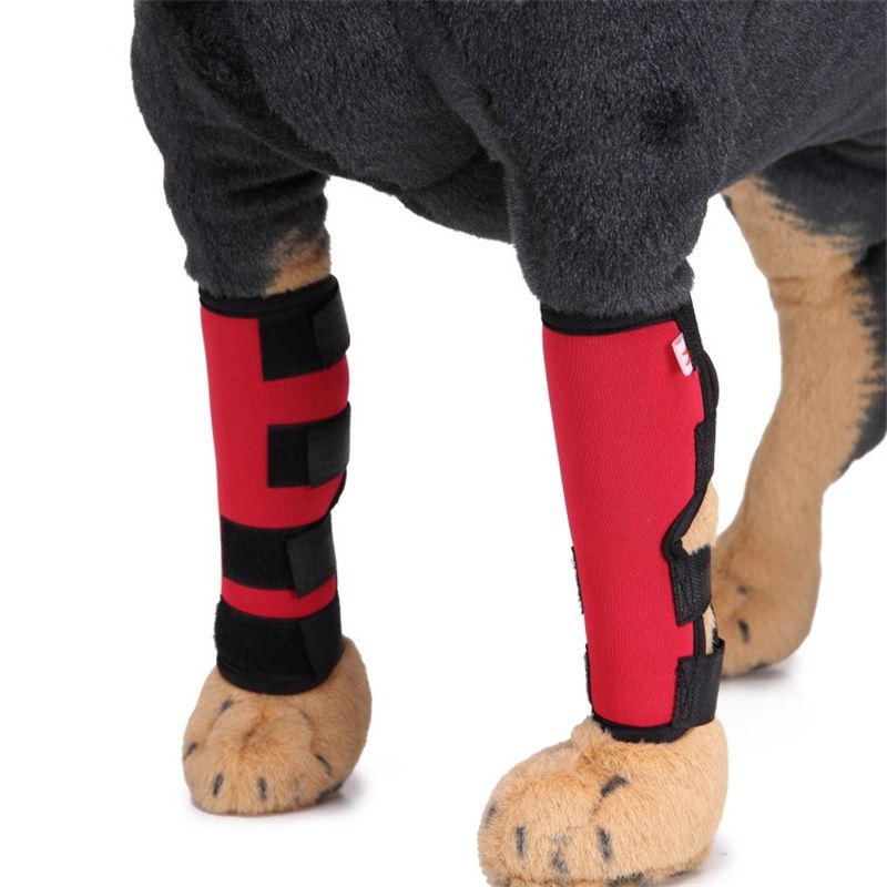 Dog Knee Acl Brace Joint Wrap Pet Safety Protector Dog Leg Support