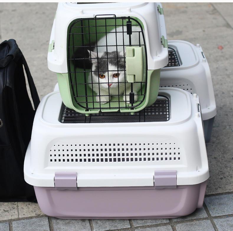 Air Box Portable Outing Pet Travel Consignment Box Big Space Portable Traveling Pp Pet Cages For Dogs