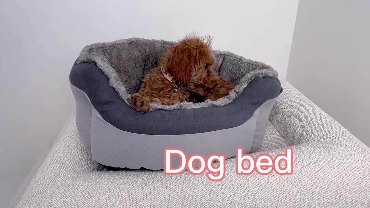 pet Pet Luxury Custom Shape Sleeping Cat Dog Beds For Pets