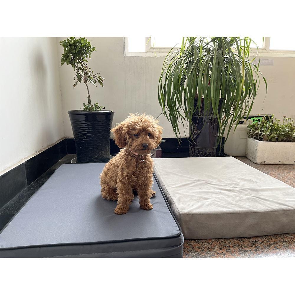 pet Dog Supplies Furniture Several Kinds Of Pet Beds For Dog