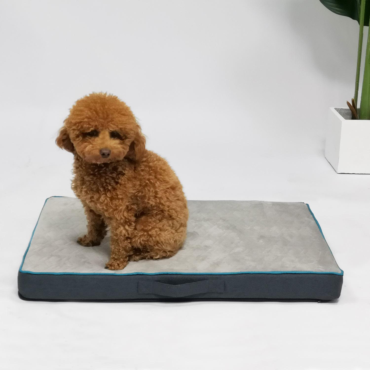 pet Orthopedic Memory Foam Pet Bed For Dog