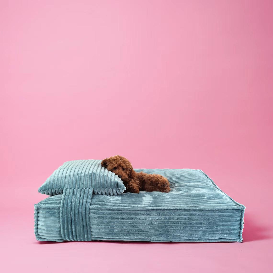 pet Pp Cotton Blue Velvet Cute Pillow Dog King Bed