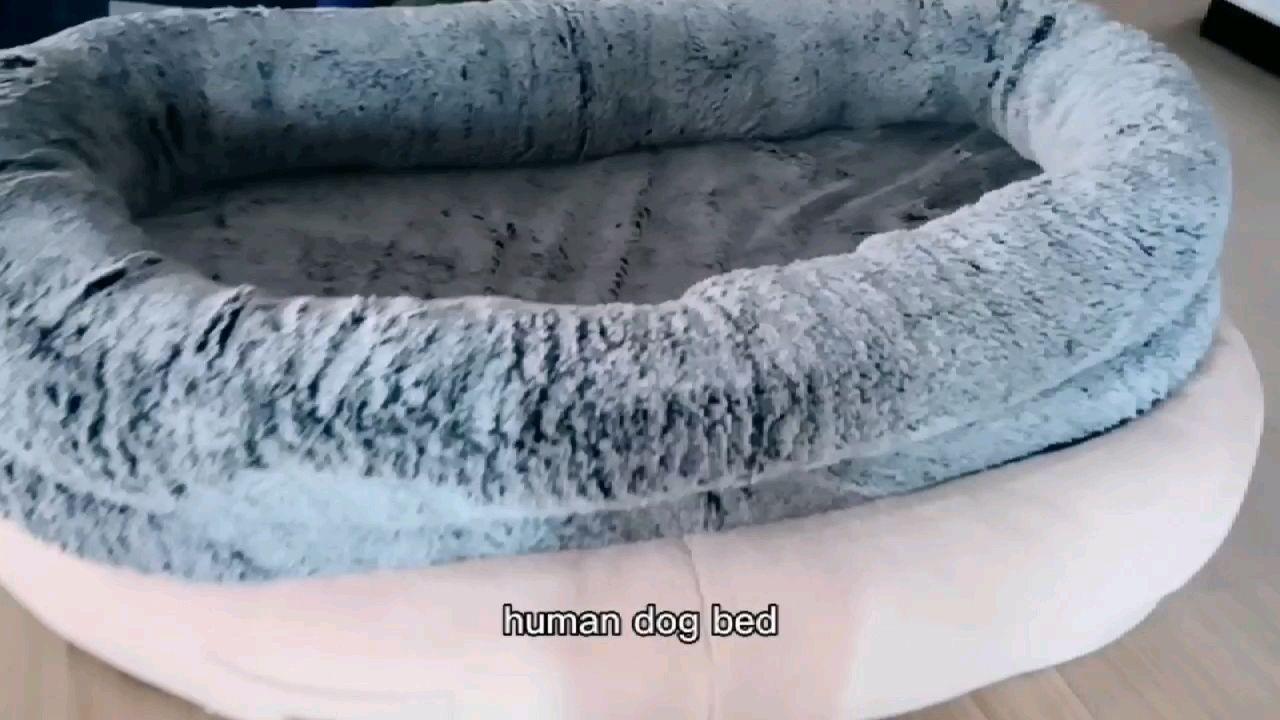 pet Orthopedic Foam Single Large Human Size Dog Bed For Human