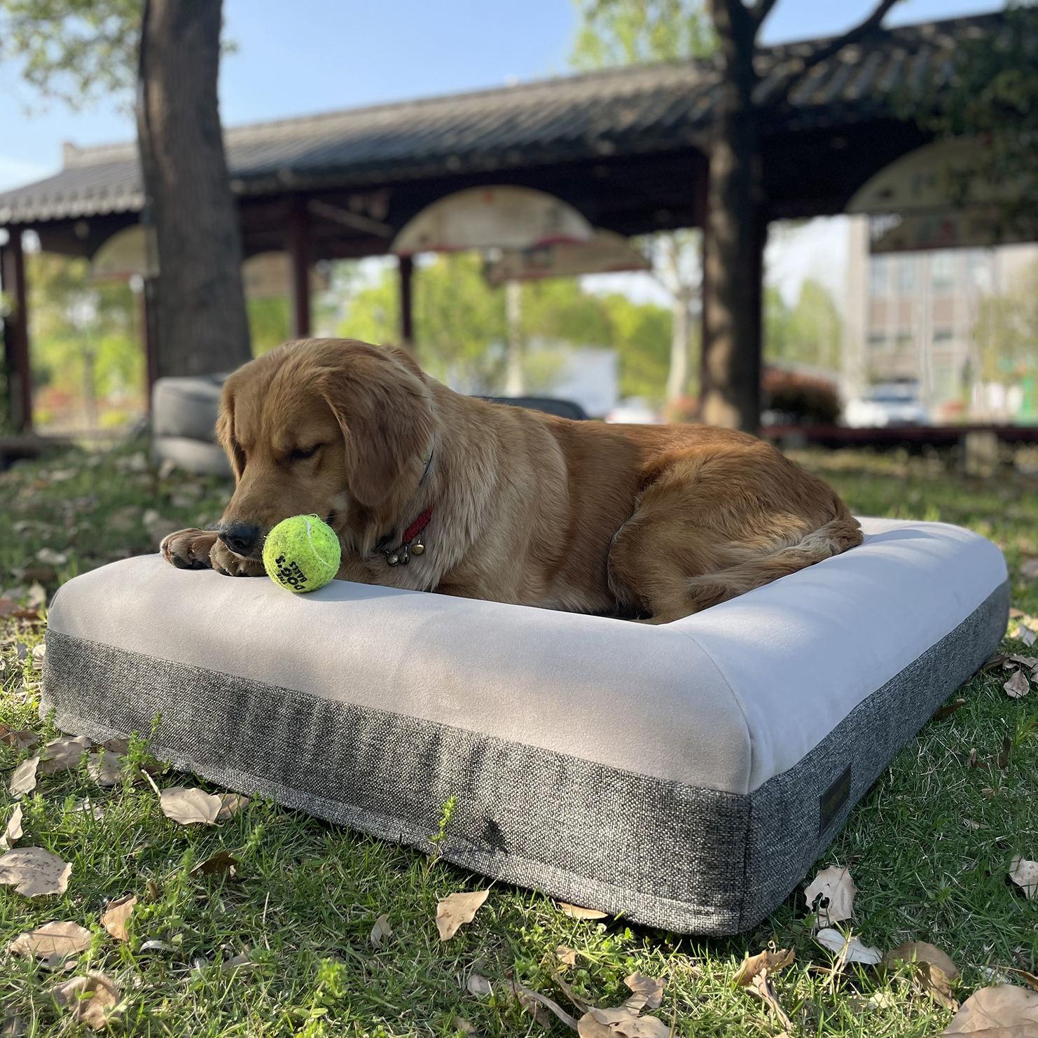 Extra Large Dog Bed Giant Croc Shoe Shape Dog Bed Orthopedic Dog Bed Memory Foam